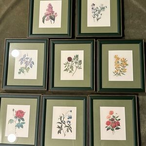 SOLD Hand drawn, professionally matted, and professionally framed botanical flow